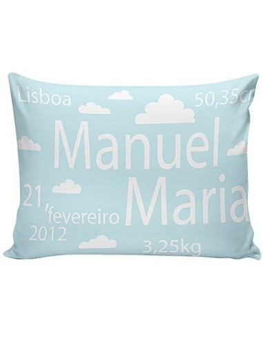 Blue Train Birth Pillow